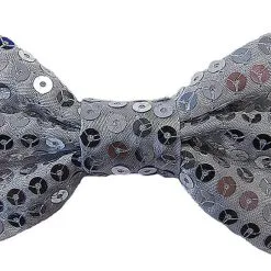 Overig Pailletten Strikje Zilver