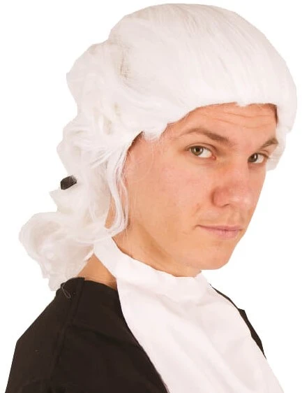 Overig Pruik Mozart Wit