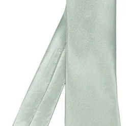 Overig Stropdas Satijn Lang Zilver