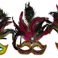 Overig Venetiaans Masker + Pauwenveren